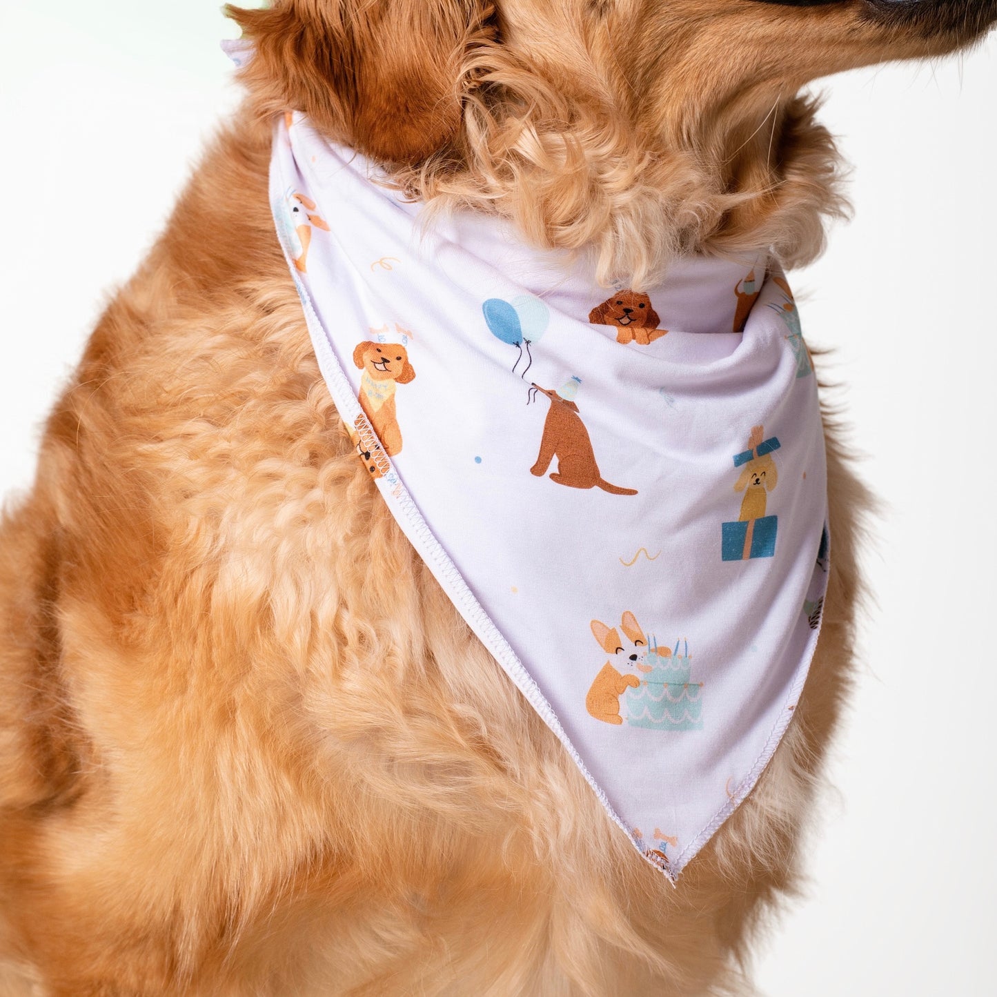 Pawty Pals Bamboo Pet Bandana