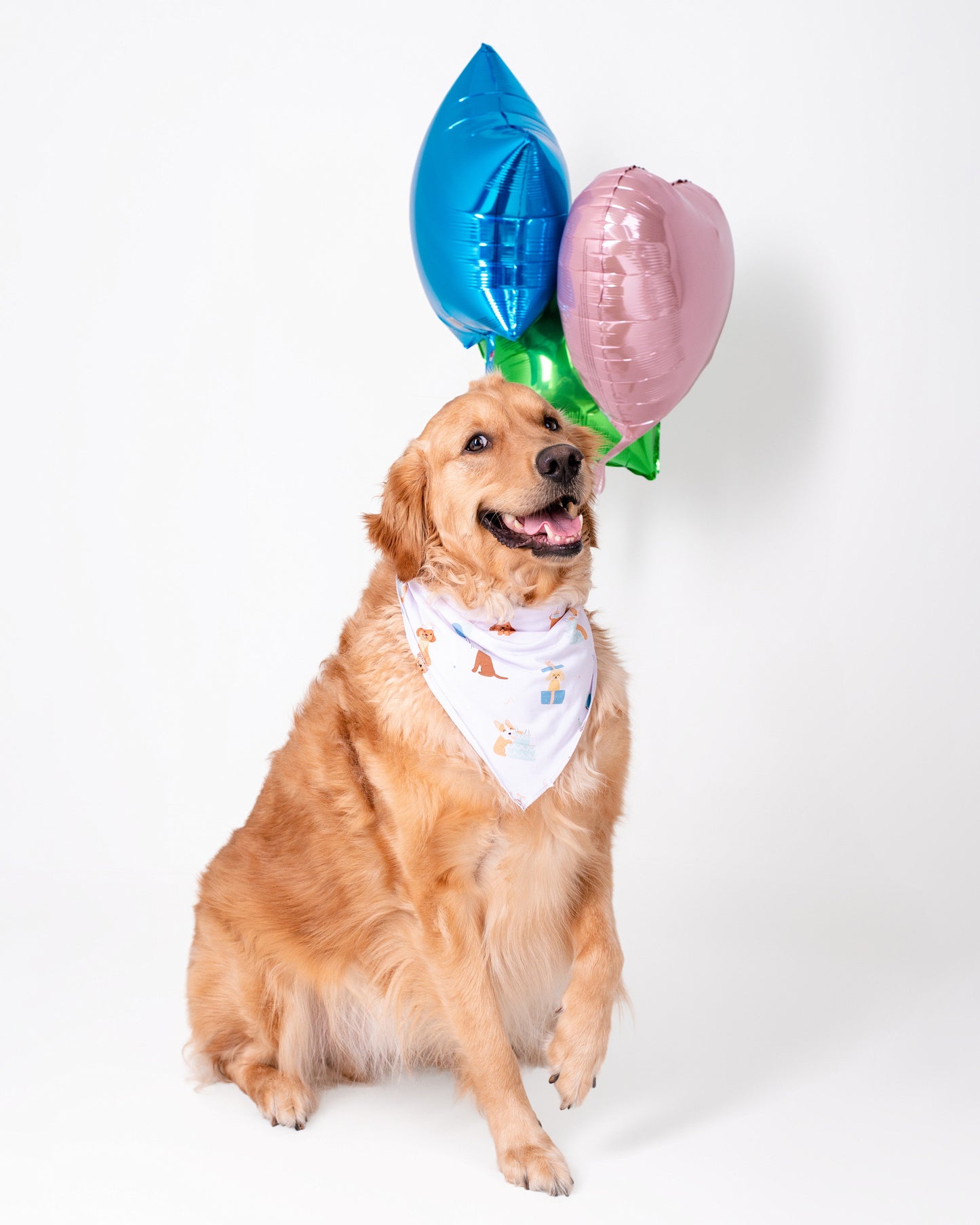 Pawty Pals Bamboo Pet Bandana