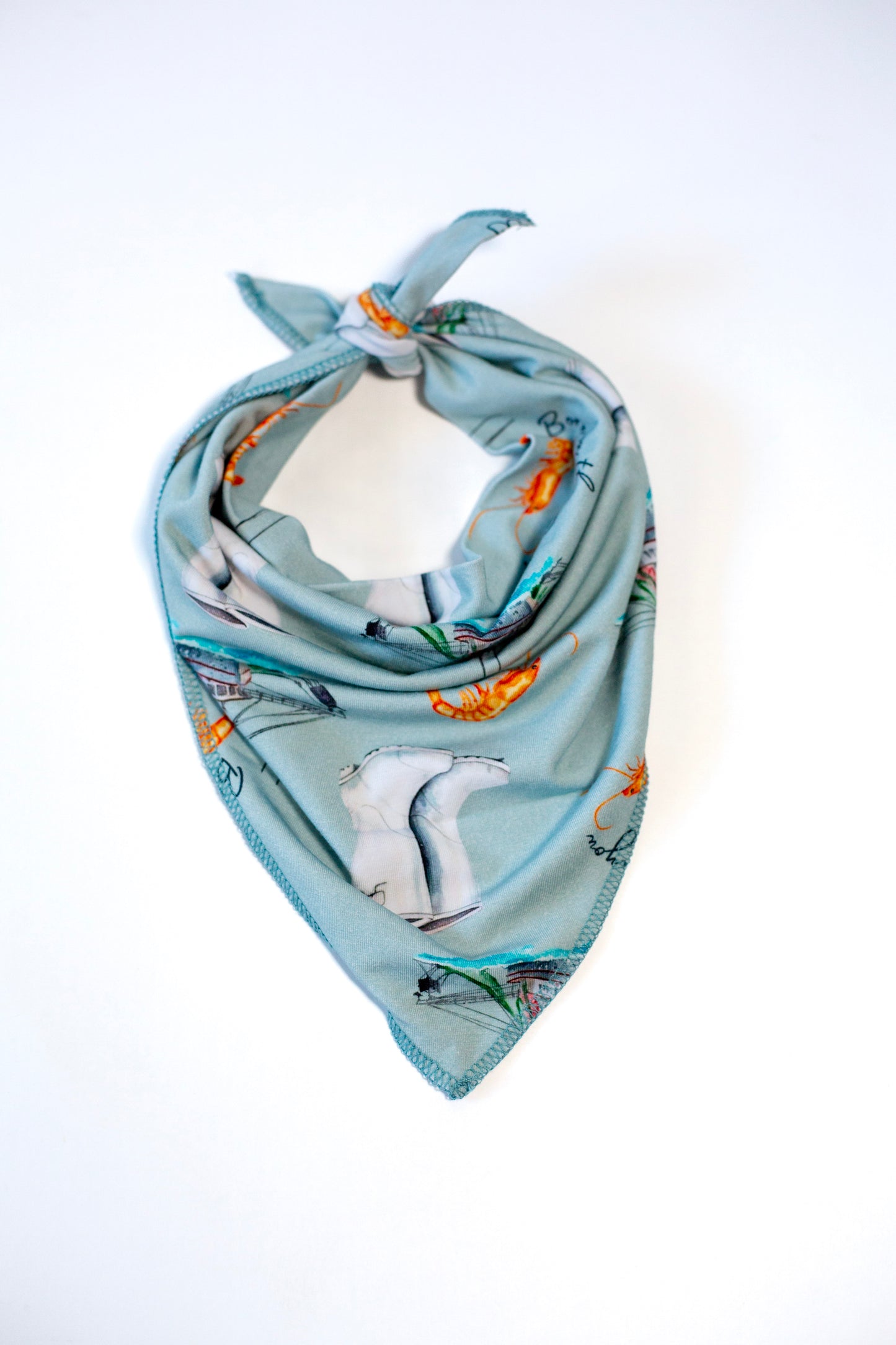 Born on the Bayou Pet Bandana