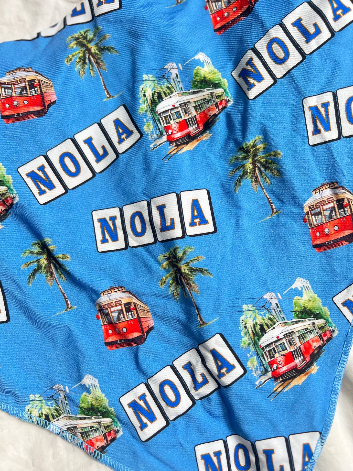 Canal Street Pet Bandana