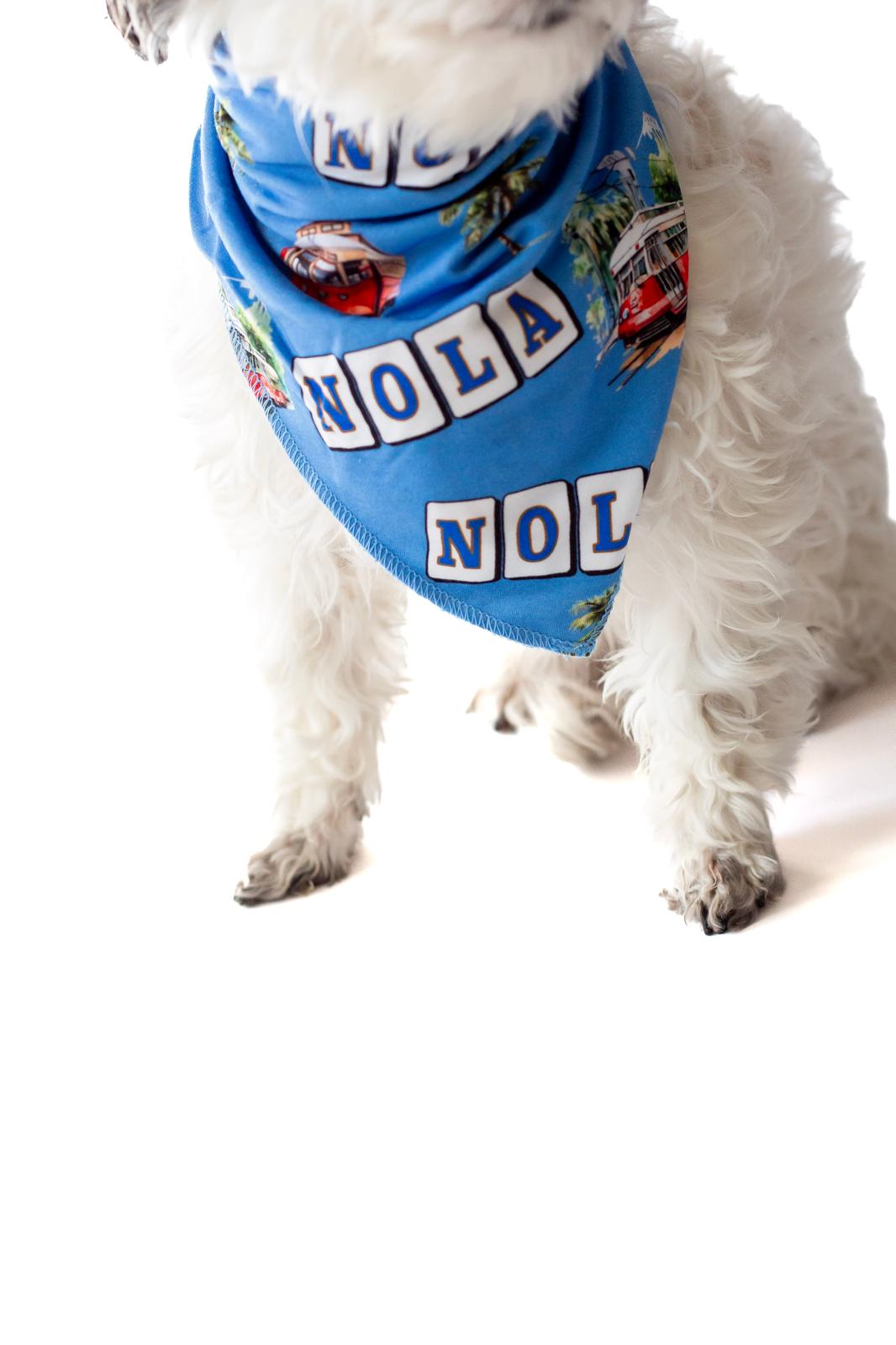 Canal Street Pet Bandana