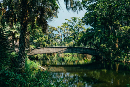 Bridge in City Park in Mid-City New Orleans