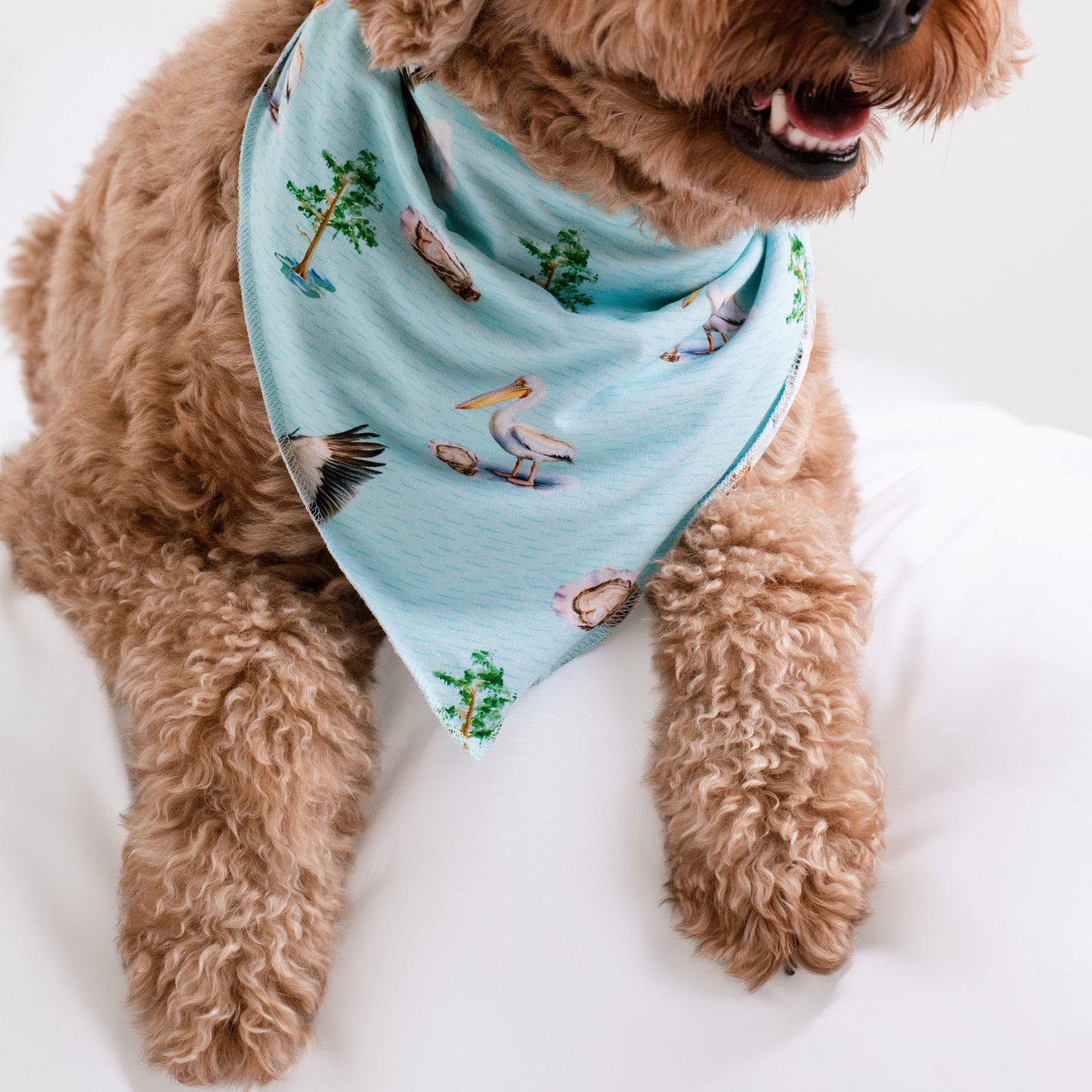 Pearls and Pelicans Bamboo Pet Bandana