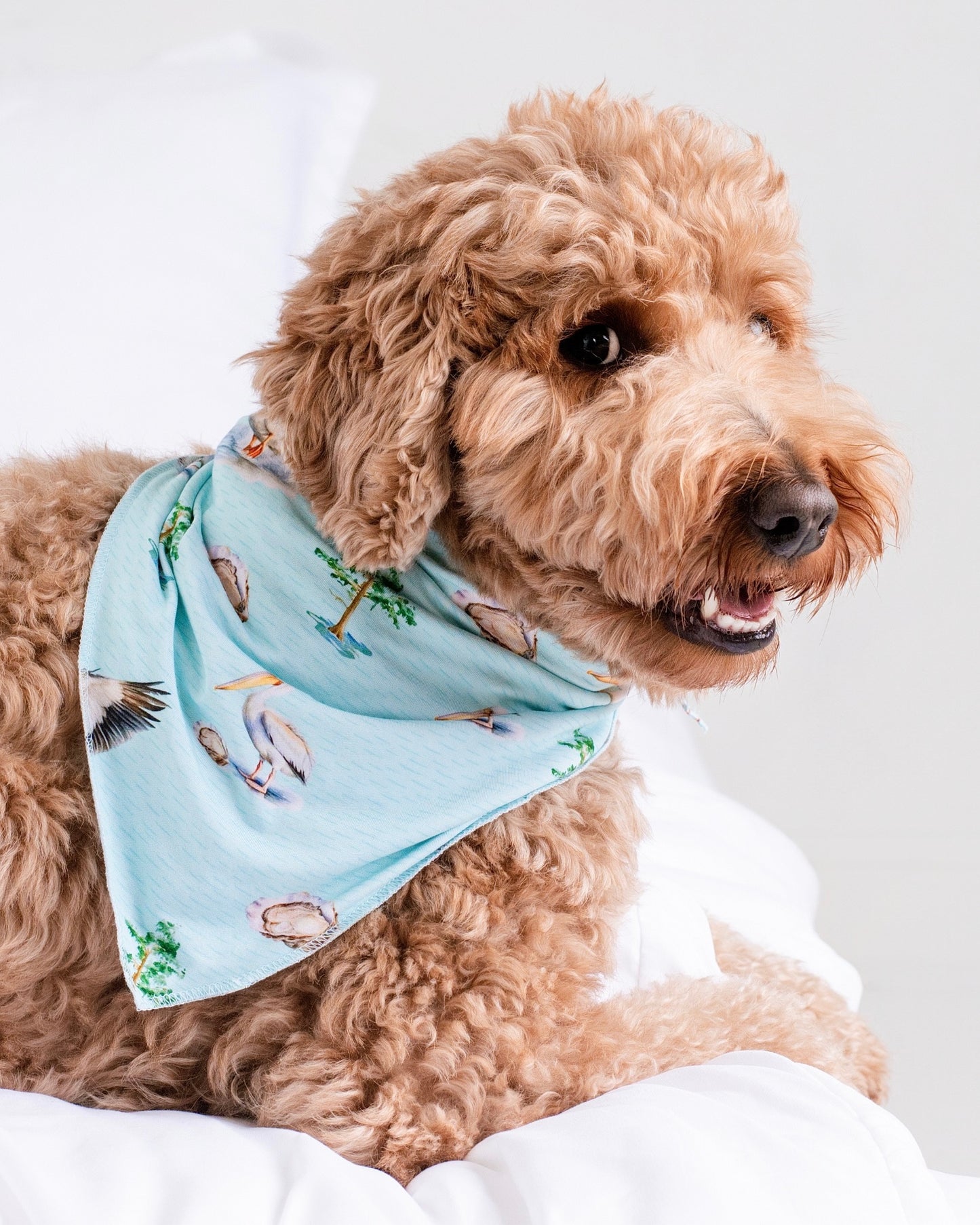 Pearls and Pelicans Bamboo Pet Bandana