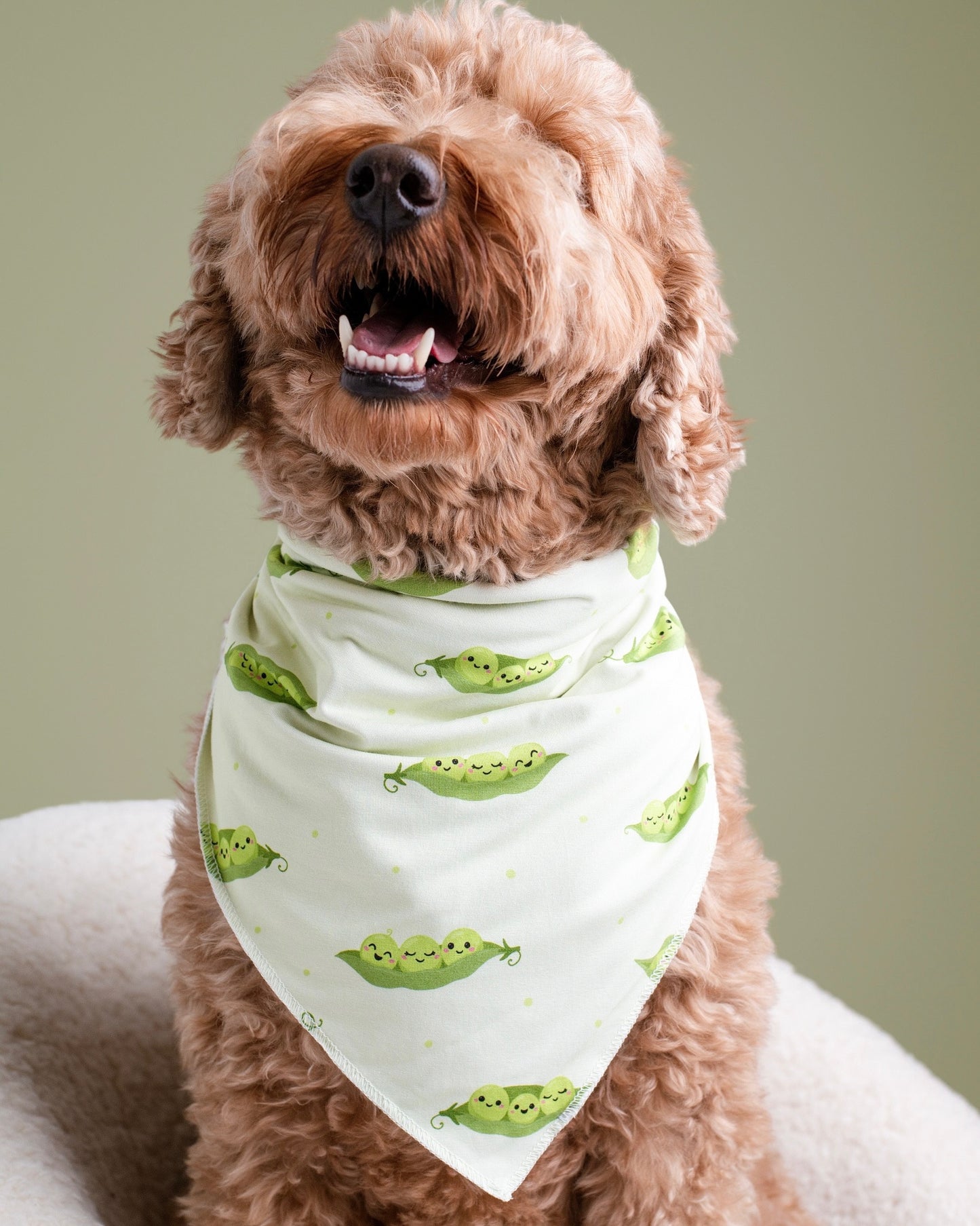 Sweet Pea Bamboo Pet Bandana
