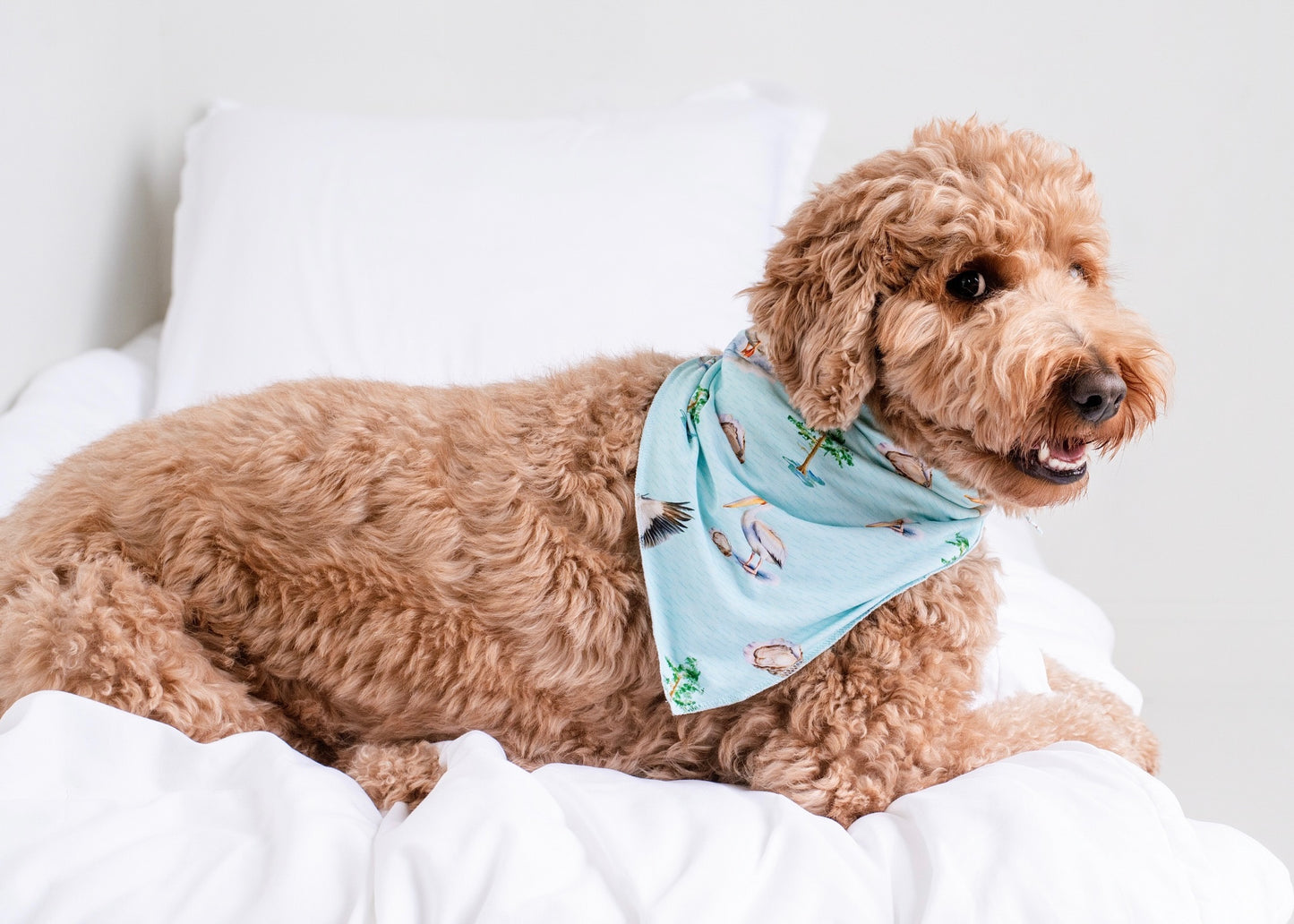 Pearls and Pelicans Bamboo Pet Bandana