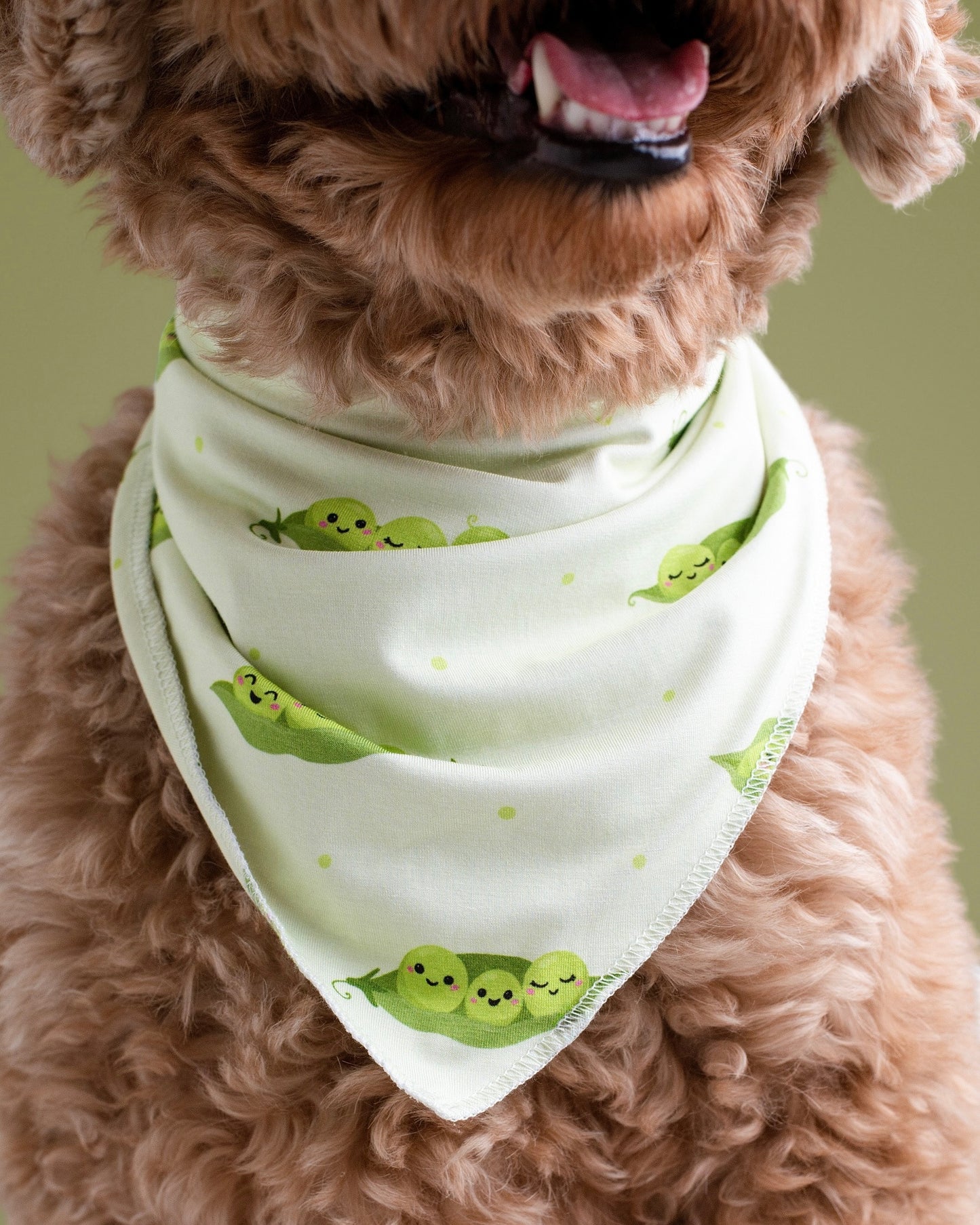 Sweet Pea Bamboo Pet Bandana
