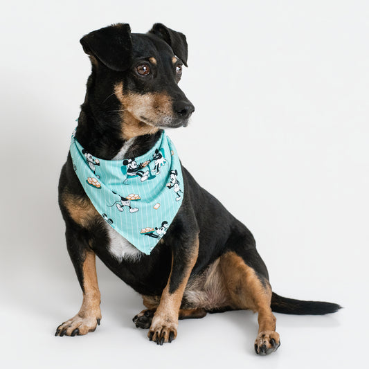 Powdered Sugar Pals Pet Bandana