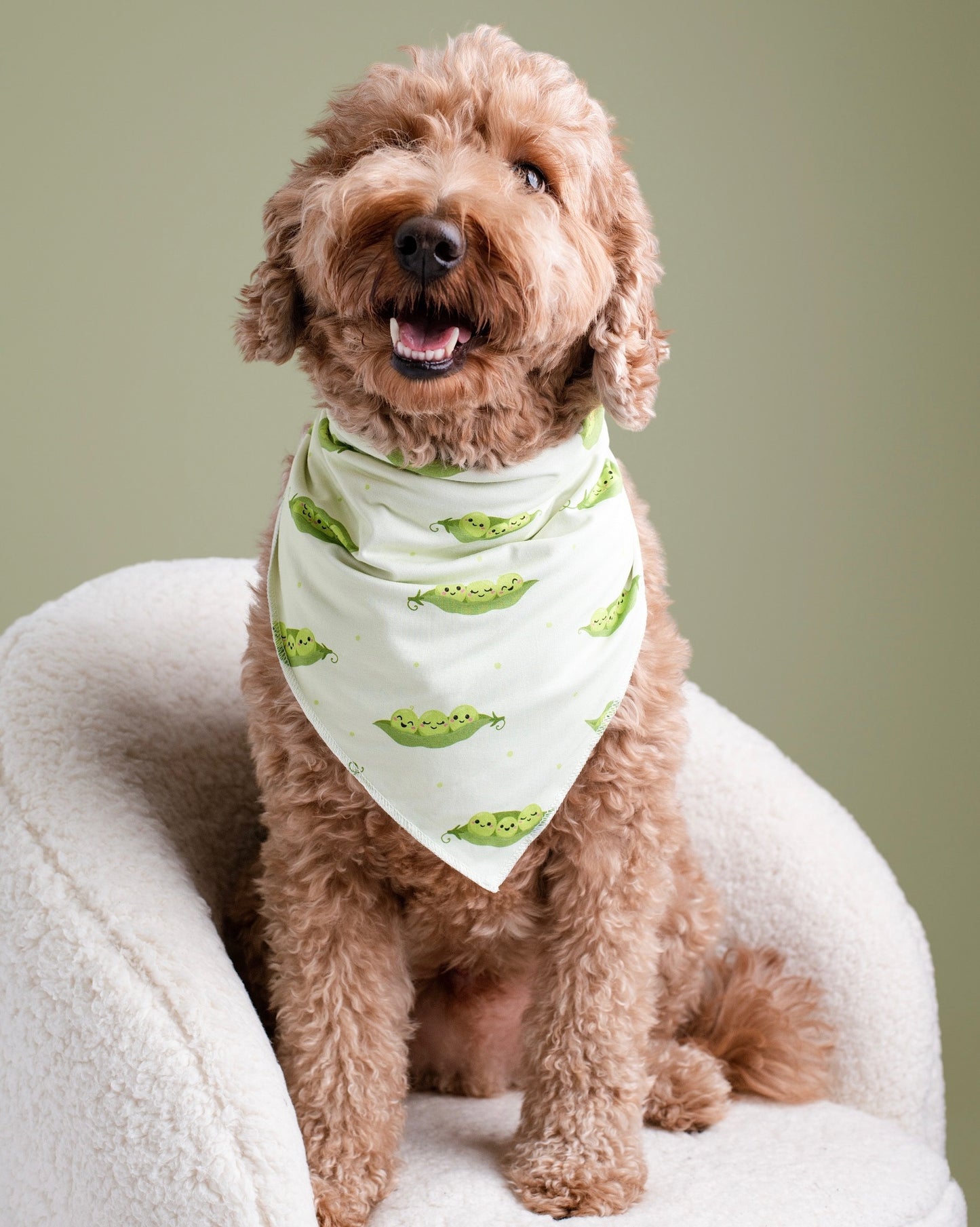 Sweet Pea Bamboo Pet Bandana