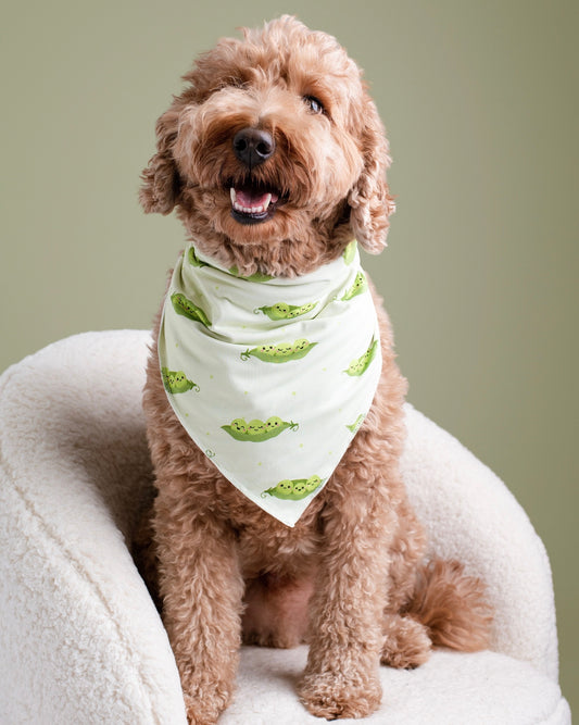 Sweet Pea Bamboo Pet Bandana