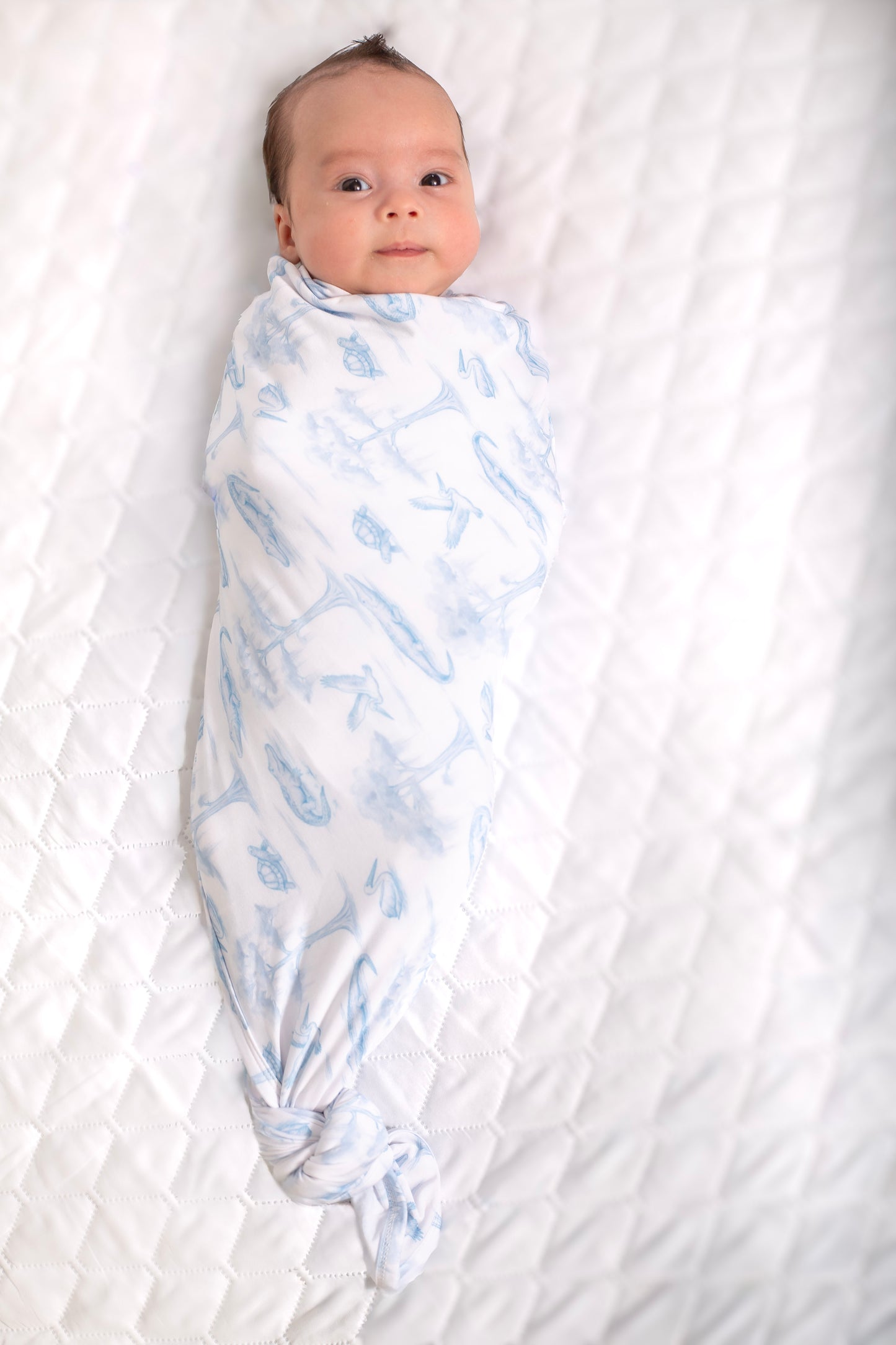 Blue Bayou Toile Swaddle