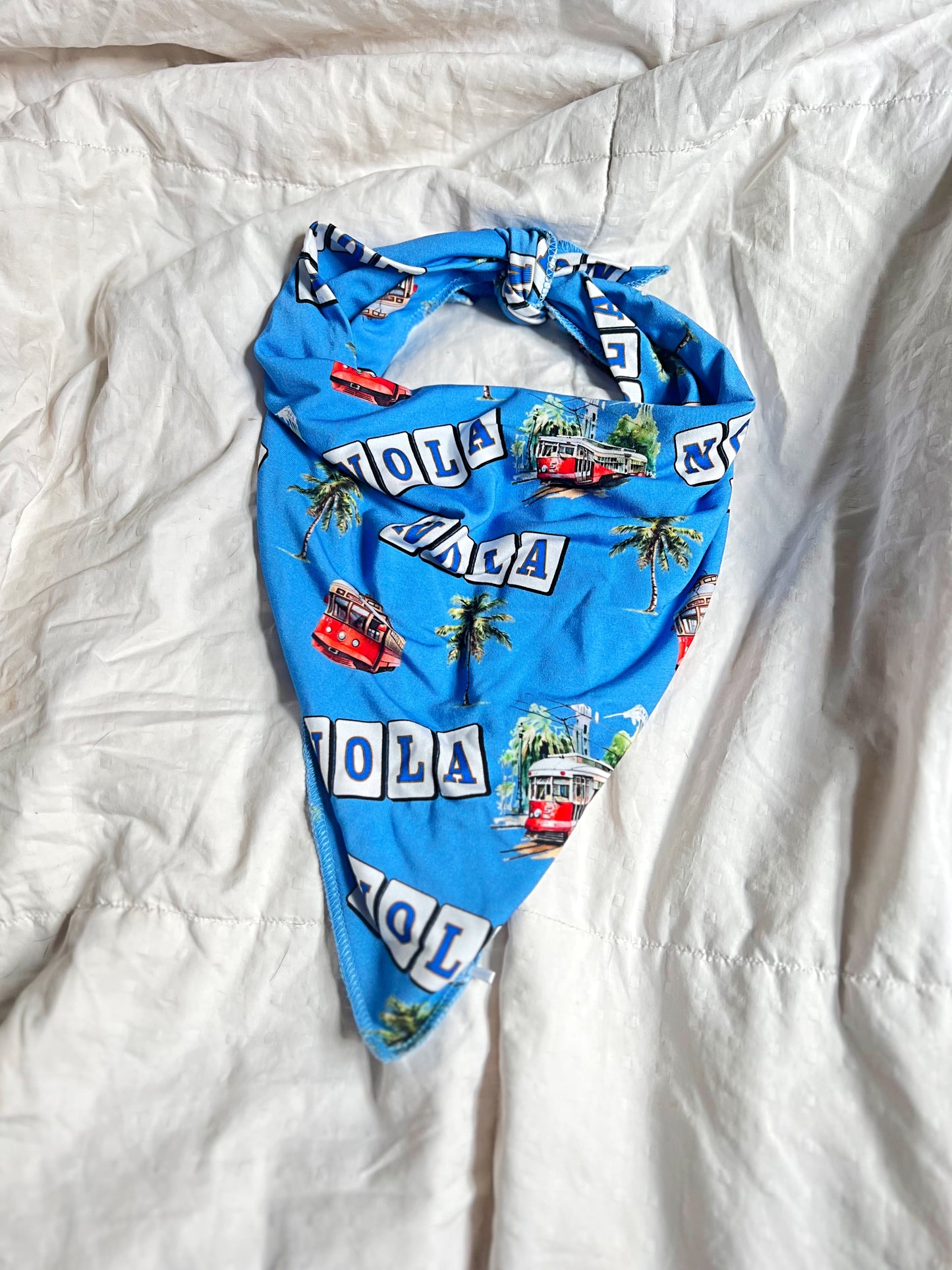 Canal Street Pet Bandana