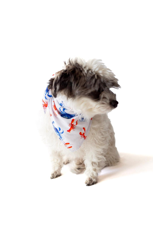 Crawfish and Crab Pet Bandana