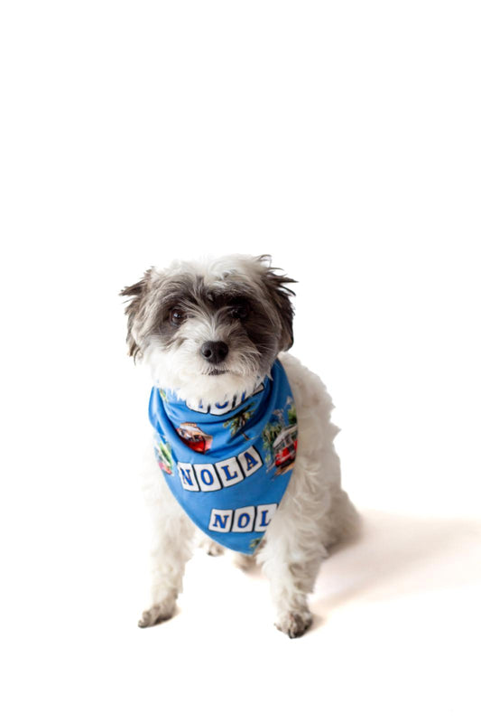 Canal Street Pet Bandana